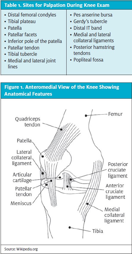 Figure 1 and Table 1 of Knee Diagram and Evaluation