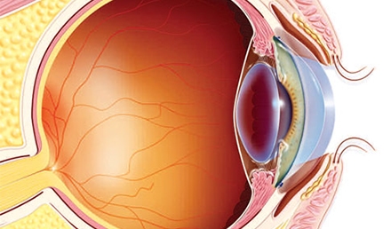 Management of Ocular Complaints in Urgent Care: Part 2