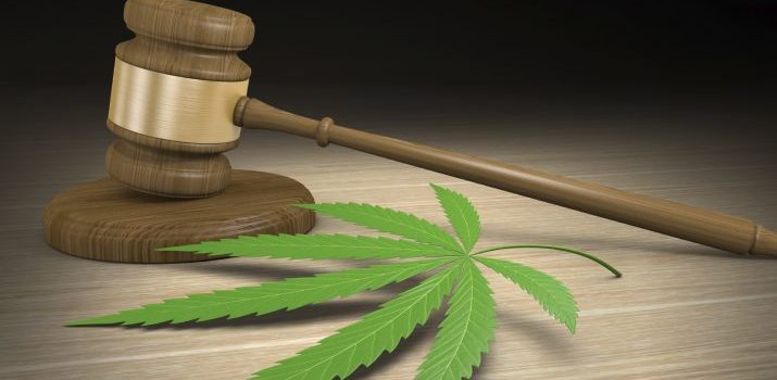 Occ Med Providers Need Clarity on Legal Marijuana in Workers