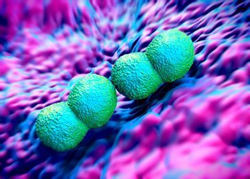 Drug-Resistance Growing in STDs