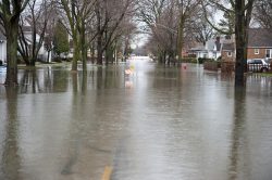 CDC Offers Guidance on Treating Patients Returning Home from Hurricane Areas