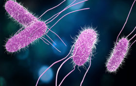 Kratom Blamed for Salmonella Outbreak in 35 States