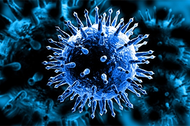 Last Year’s High Death Toll from Flu Partially Explained—and the Data Should Frustrate You