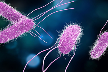 Raw Turkey Products Are Causing Salmonella Infections Across Half the Country