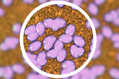 Resolve to Practice Better Antibiotic Stewardship in the New Year
