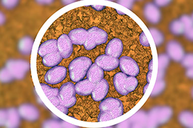 Stewardship Efforts Really Do Lower Overuse of Antibiotics—and That Can Save Lives