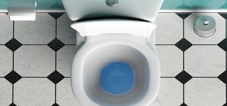 Much Ado About Toilet Bluing (and Other Drug Testing Requirements)