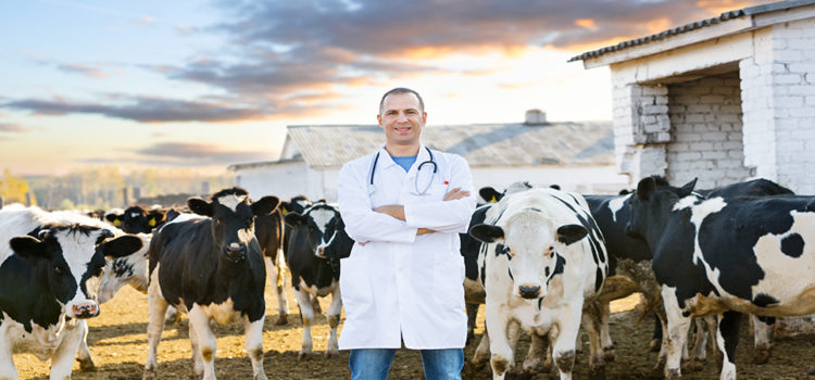 Rural and Tertiary Markets: The Next Urgent Care Frontier