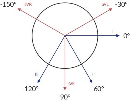 Limb lead vectors.