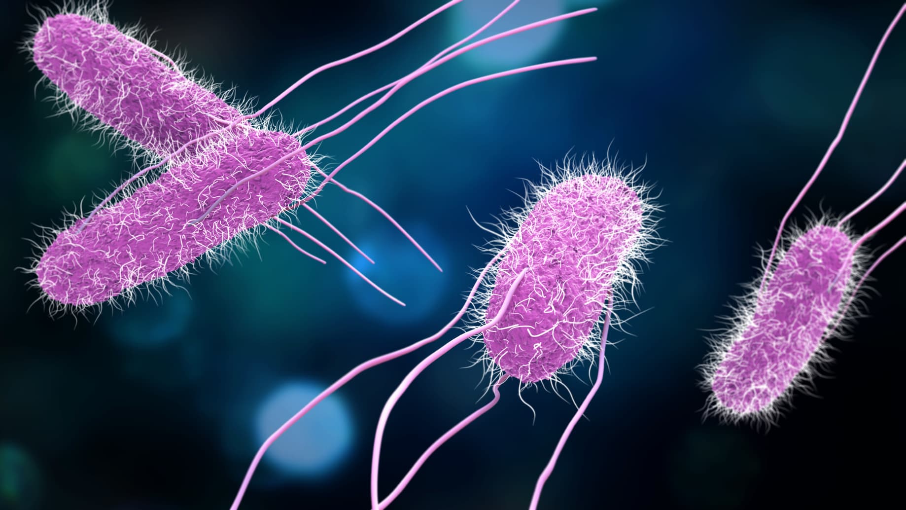 Salmonella Outbreak Reaches Over Half of U.S. States; Does the CDC Have