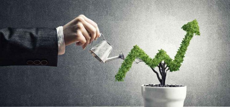 Your Best Investment Is Growing Your Own Business