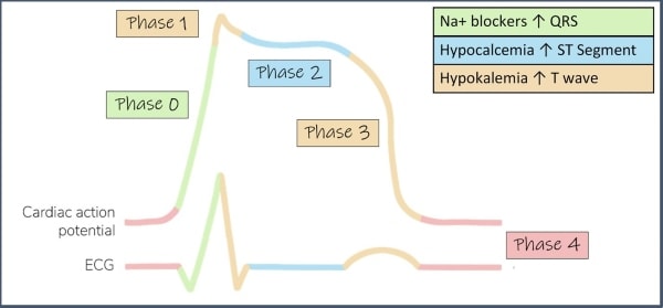 Complaint of Weakness Figure 2