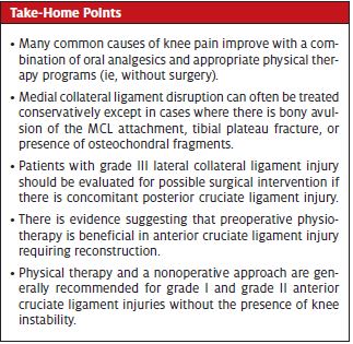 Physician Therapy for Knee Pain Management