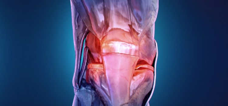 Physical Therapy as Nonsurgical Management and Presurgical Management of Most Common Knee Pathologies