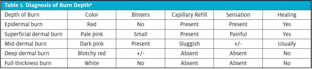 Table 1, diagnosis of burn depth.  Burn blisters in urgent care
