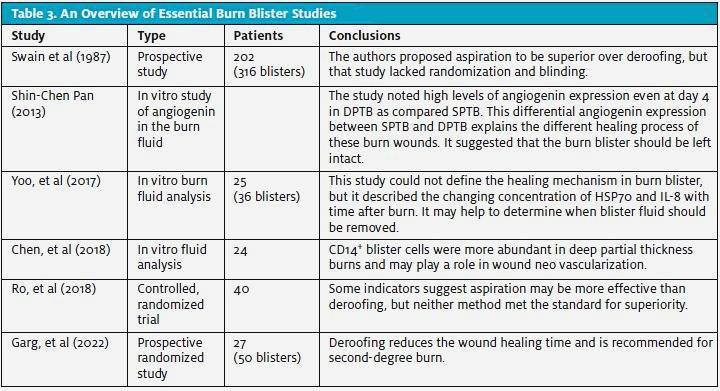 Table 3. an overview of essential burn blister studies in urgent care