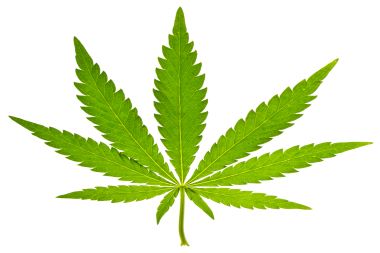 <strong>As Legal Marijuana Becomes More Common, so Do Associated Acute Care Visits by Older Adults</strong>