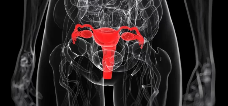 How Useful Is Ultrasound in Abnormal Uterine Bleeding?