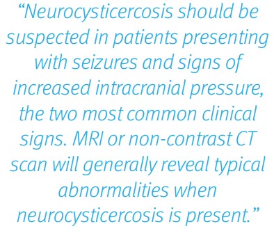 Missed Neurocysticercosis