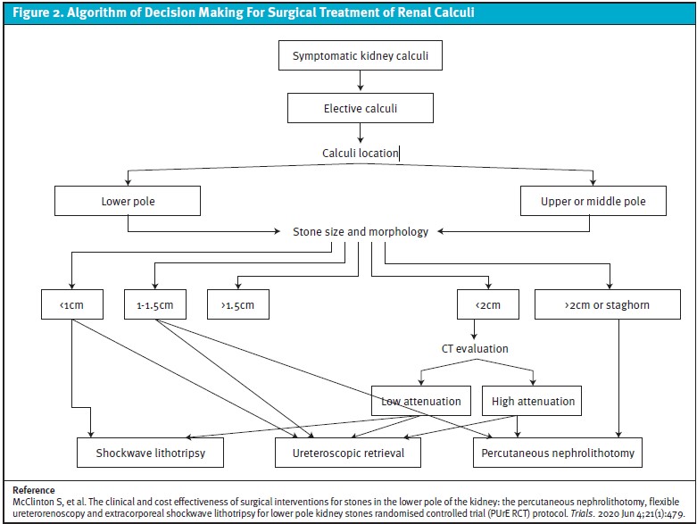 Algorithm of Decision Making for Surgical Treatment of Renal Calculi