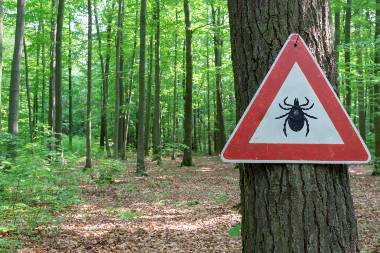 Mild Winters Keep Ticks Biting