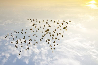 One Voice, One Vision One Voice, One Vision