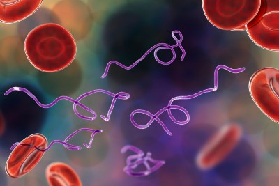 Rising Lyme Disease Cases