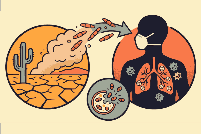 Valley Fever Diagnosis Too Often Missed During Healthcare Visits Valley Fever Diagnosis Too Often Missed During Healthcare Visits