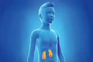 Boy Child with Adrenal Glands highlighted in Yellow Adrenal Crisis in Urgent Care