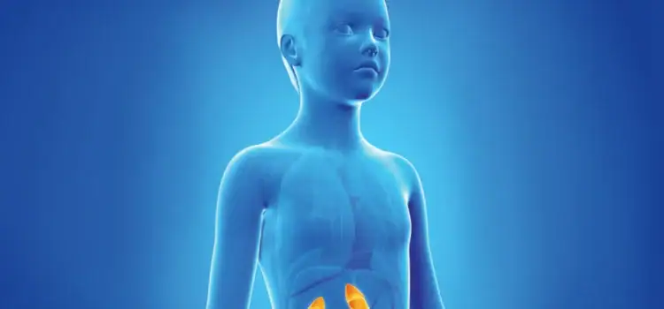 Recognizing and Managing Adrenal Crisis in Urgent Care: A Case Report