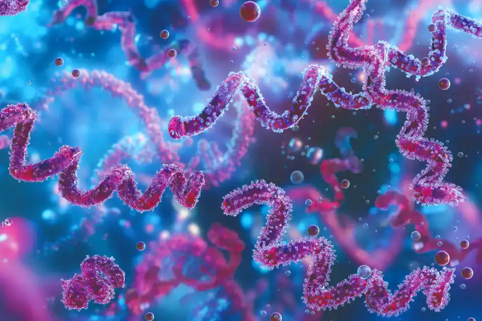Addressing Congenital Syphilis With Point-of-Care Testing in Urgent Care