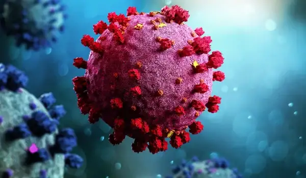 COVID Positivity Rates Increase Just As Seasonal Vaccines Receive Approval