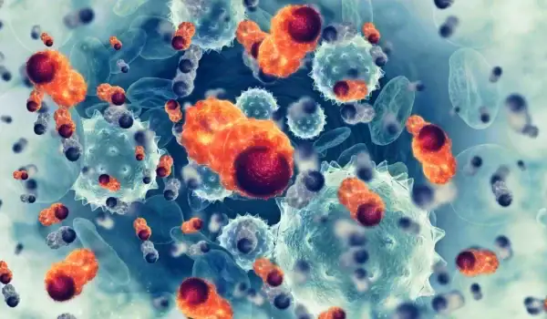 Cancer Incidence Inches Up, But Survival Is Improving Cancer Incidence Inches Up, But Survival Is Improving