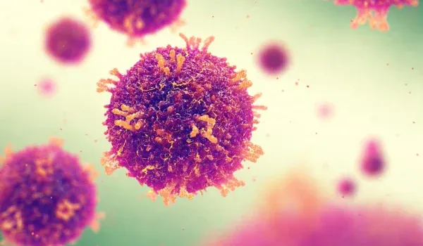 Immune Amnesia From Measles Can Last For 5 Years