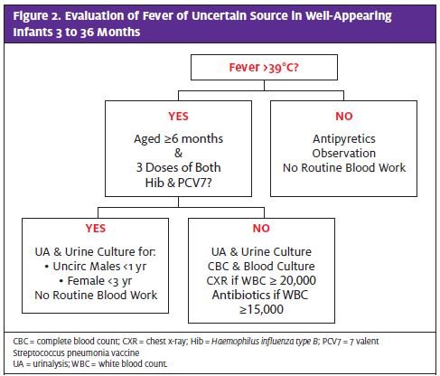 Current management of occult bacteremia in infants – topic of