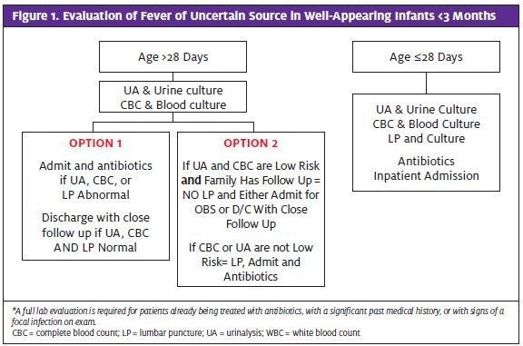 Current management of occult bacteremia in infants – topic of